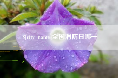 龙口全国消防日哪一