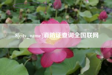 龙口消防证查询全国联网