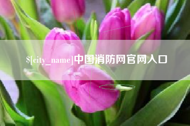 龙口中国消防网官网入口