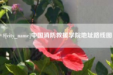 龙口中国消防救援学院地址路线图