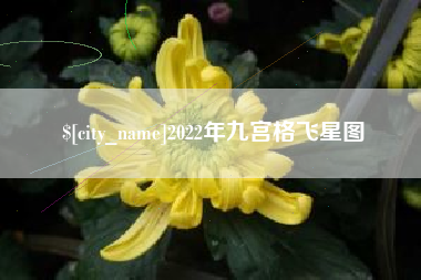 龙口2022年九宫格飞星图