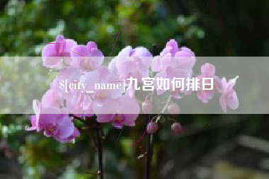龙口九宫如何排日
