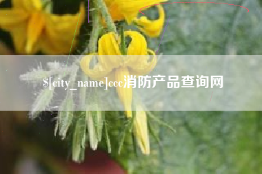 龙口ccc消防产品查询网
