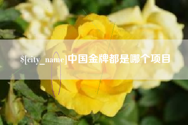 龙口中国金牌都是哪个项目