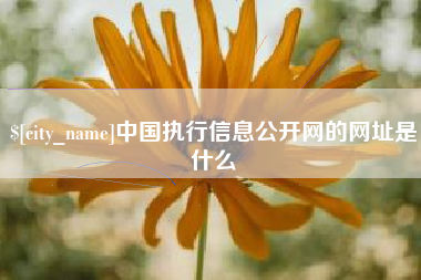 龙口中国执行信息公开网的网址是什么