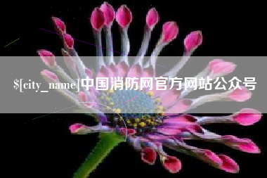 龙口中国消防网官方网站公众号