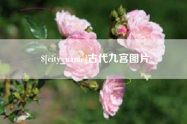 龙口古代九宫图片