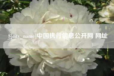 龙口中国执行信息公开网 网址