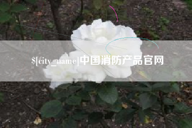 龙口中国消防产品官网