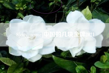 龙口中国的几块金牌2021
