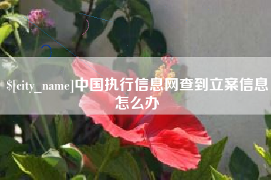 龙口中国执行信息网查到立案信息怎么办