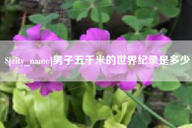 龙口男子五千米的世界纪录是多少