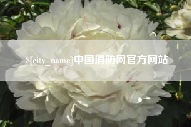 龙口中国消防网官方网站