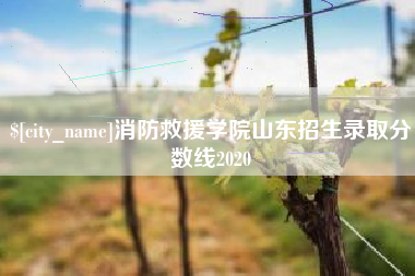 龙口消防救援学院山东招生录取分数线2020