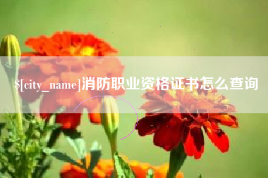 龙口消防职业资格证书怎么查询