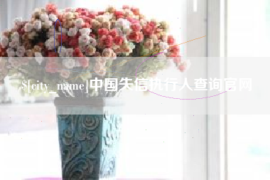 龙口中国失信执行人查询官网