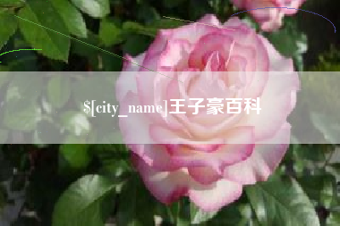 龙口王子豪百科