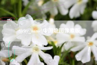 龙口中国地图像素版