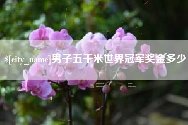 龙口男子五千米世界冠军奖金多少