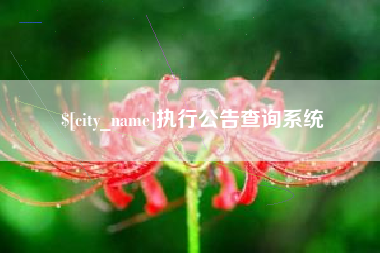 龙口执行公告查询系统