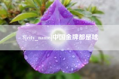龙口中国金牌都是啥
