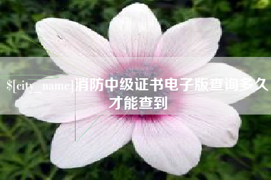 龙口消防中级证书电子版查询多久才能查到