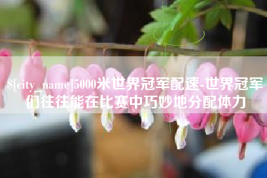 龙口5000米世界冠军配速-世界冠军们往往能在比赛中巧妙地分配体力