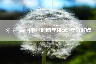 龙口中国消防学院2024年分数线