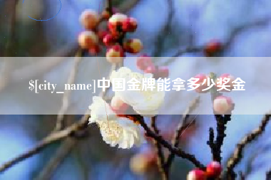 龙口中国金牌能拿多少奖金