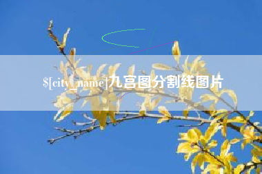 龙口九宫图分割线图片