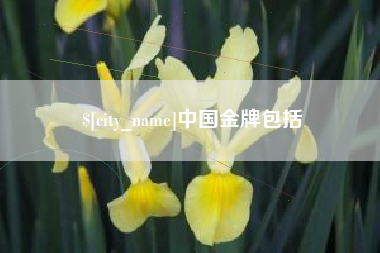 龙口中国金牌包括