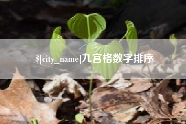 龙口九宫格数字排序