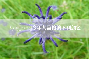 龙口今年九宫格的不利颜色