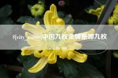 龙口中国九枚金牌是哪九枚