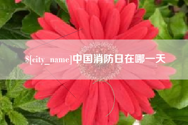 龙口中国消防日在哪一天