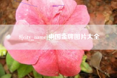 龙口中国金牌图片大全