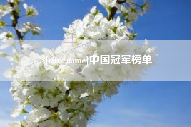 龙口中国冠军榜单