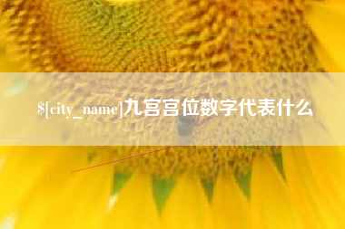 龙口九宫宫位数字代表什么
