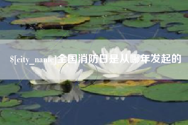 龙口全国消防日是从哪年发起的