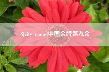 龙口中国金牌第九金