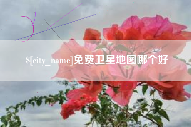 龙口免费卫星地图哪个好