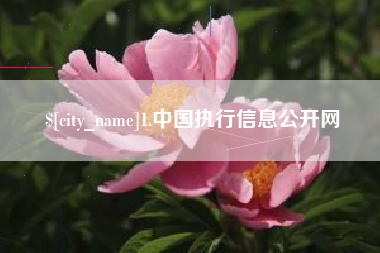 龙口1.中国执行信息公开网