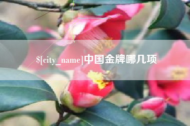 龙口中国金牌哪几项
