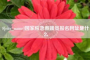 龙口国家应急救援员报名网址是什么