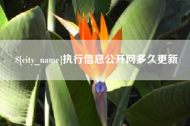 龙口执行信息公开网多久更新