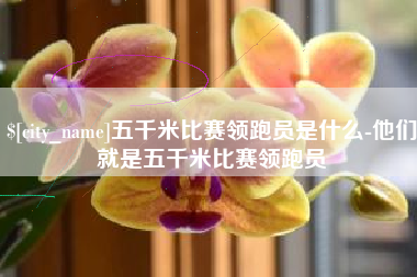 龙口五千米比赛领跑员是什么-他们就是五千米比赛领跑员