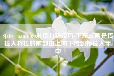 龙口60米接力赛技巧-下压式则是传棒人将棒的前部由上向下传到接棒人手中