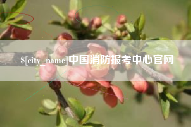龙口中国消防报考中心官网