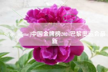 龙口中国金牌榜2024巴黎奥运会最新