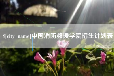 龙口中国消防救援学院招生计划表